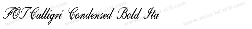 FOTCalligri Condensed Bold ItalicVe字体转换